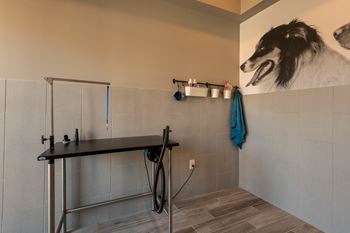 A Pet Spa Station at The Aster Apartments, North Carolina, 27519